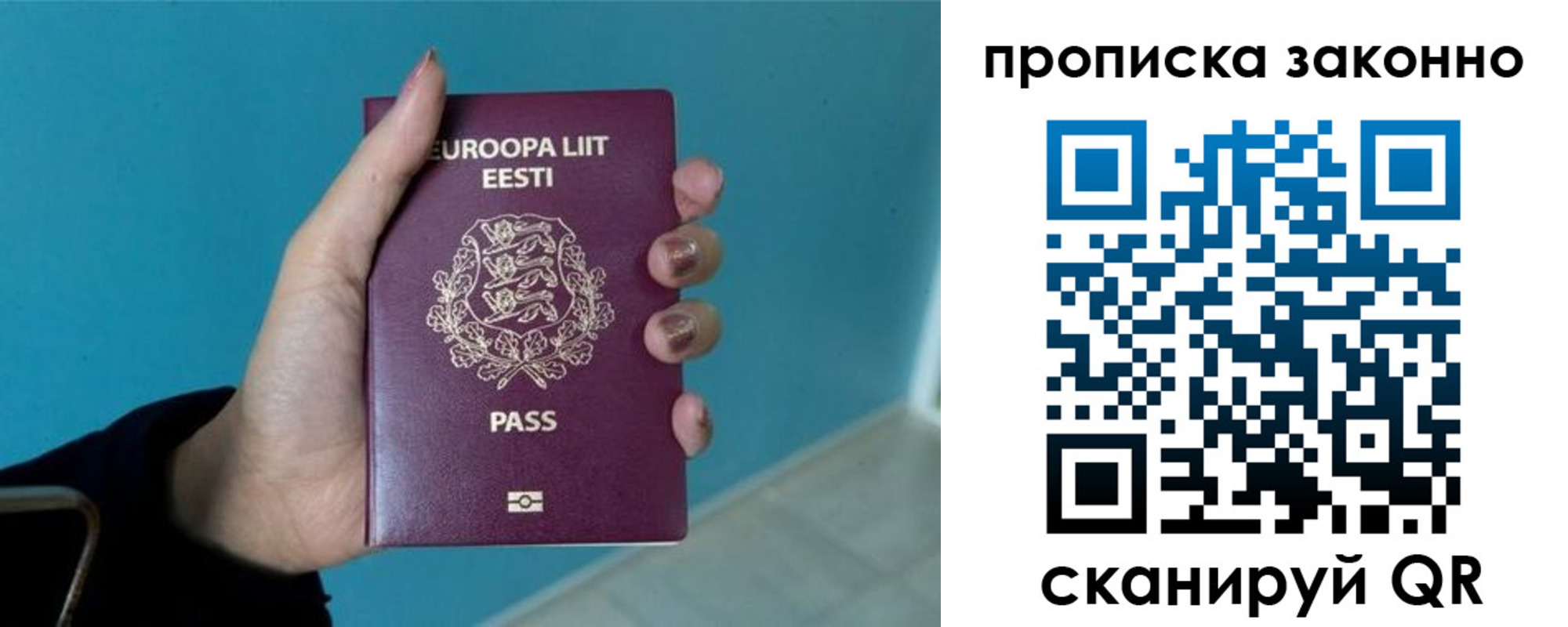 прописка гарантия в Светогорске