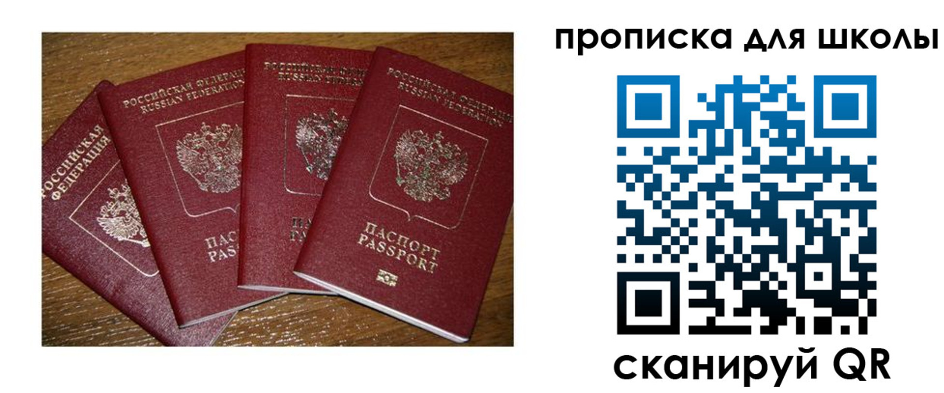прописка штамп в Светогорске